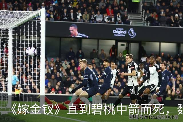《嫁金钗》直到碧桃中箭而死，魏娆才终于明白，最爱她的不是陆濯和寿安君，而是碧桃
