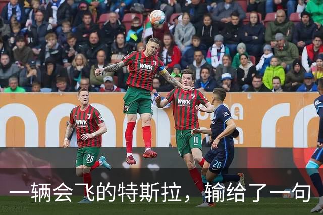 一辆会飞的特斯拉，输给了一句“这有什么用”