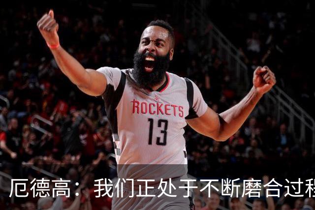厄德高：我们正处于不断磨合过程中，我感觉球队每周都在变得更好