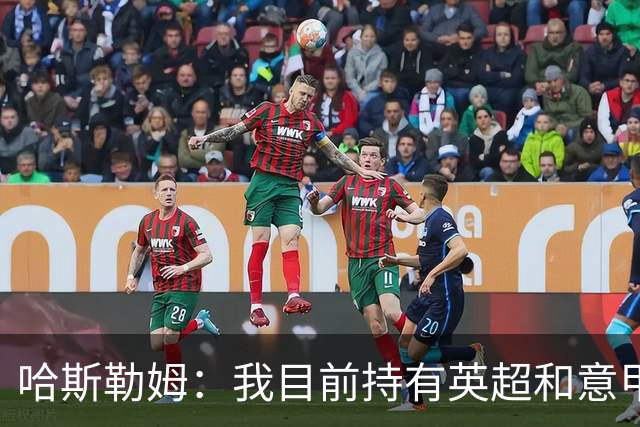 哈斯勒姆：我目前持有英超和意甲两家足球俱乐部的股份