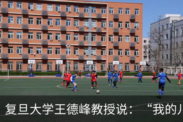 复旦大学王德峰教授说：“我的儿子，从小念最好的幼儿园，最好的小学，最好的中学，最后却只上了二本。 ”