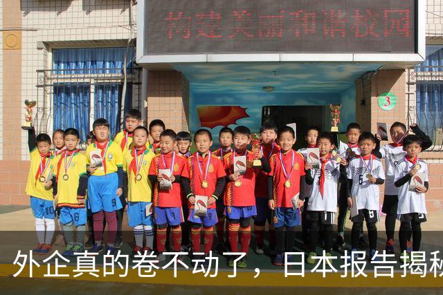 外企真的卷不动了，日本报告揭秘，，中国逼走，4000，家日企，，换来了什么