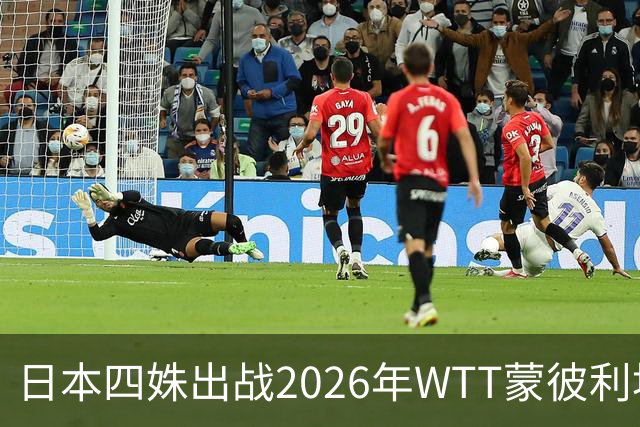 日本四姝出战2026年WTT蒙彼利埃冠军赛，张本美和冲冠军赛四连冠