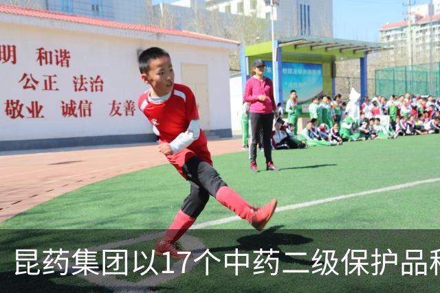 昆药集团以17个中药二级保护品种为支点，构筑银发健康差异化优势