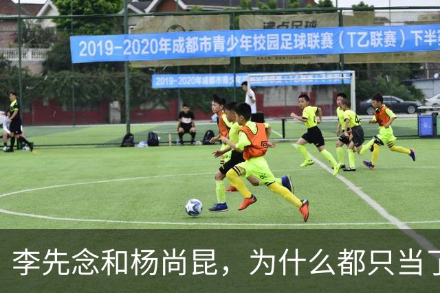 李先念和杨尚昆，为什么都只当了一届国家主席？