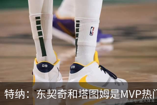 特纳：东契奇和塔图姆是MVP热门 塔图姆有望场均32到33分
