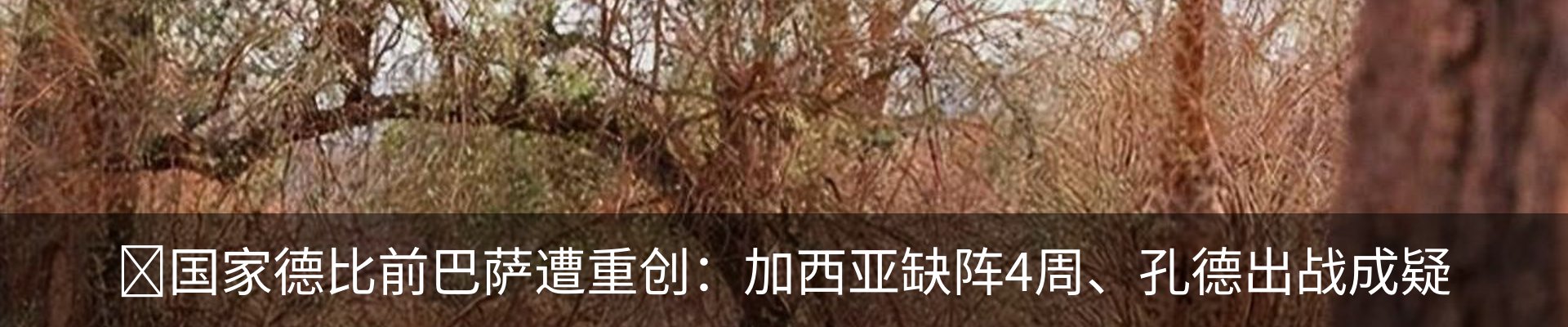 资讯中心