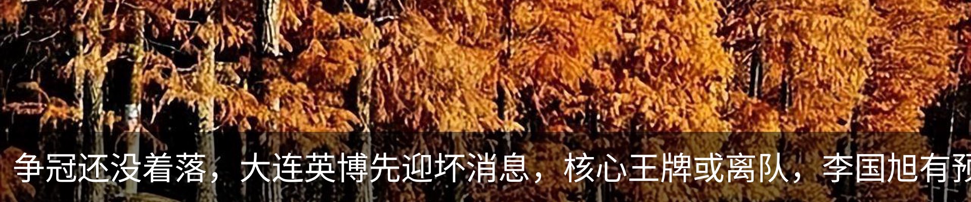 资讯中心