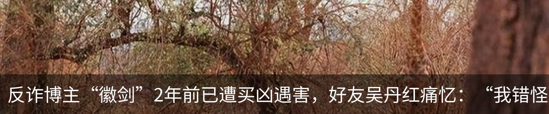 资讯中心