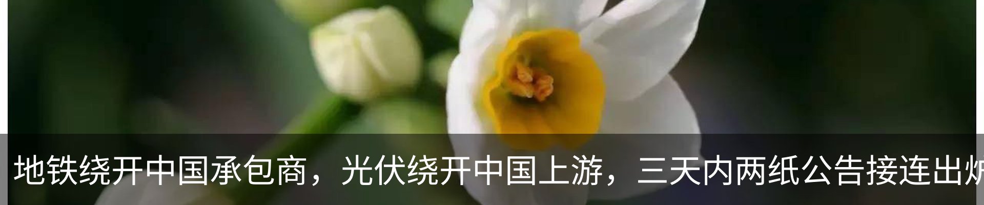 资讯中心