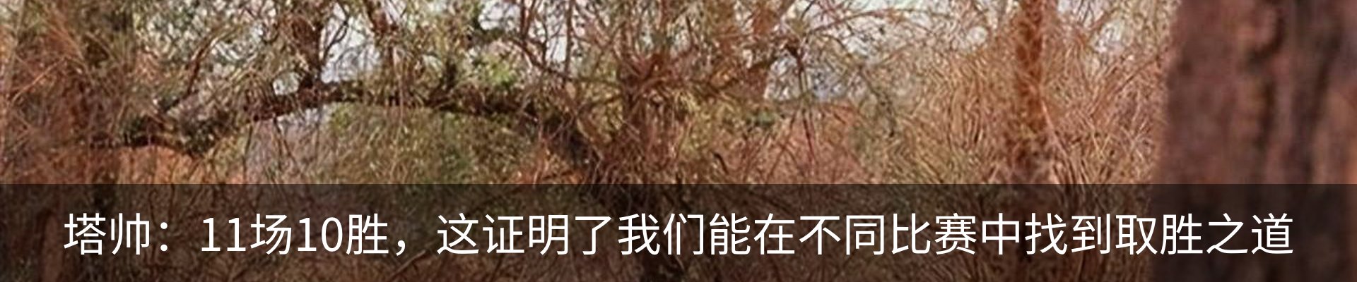 资讯中心