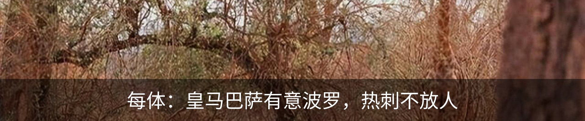 资讯中心