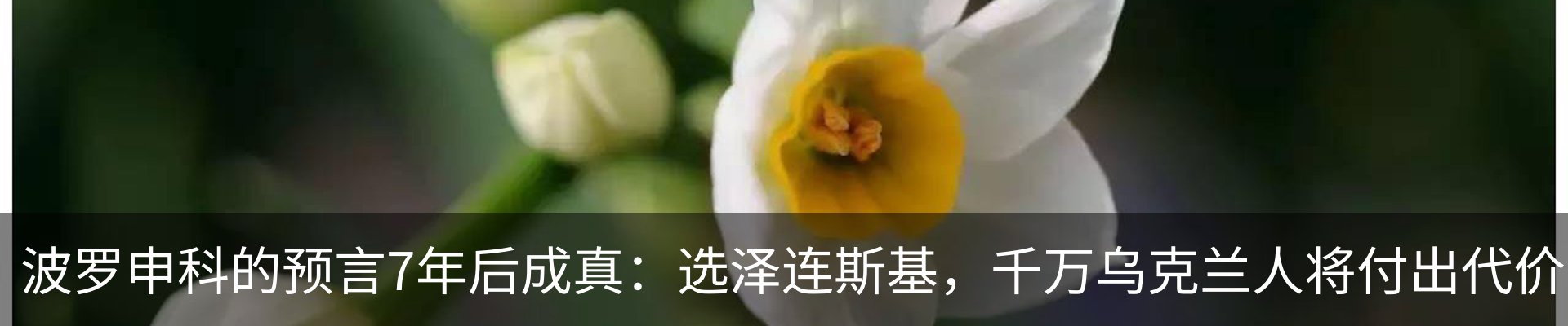 资讯中心
